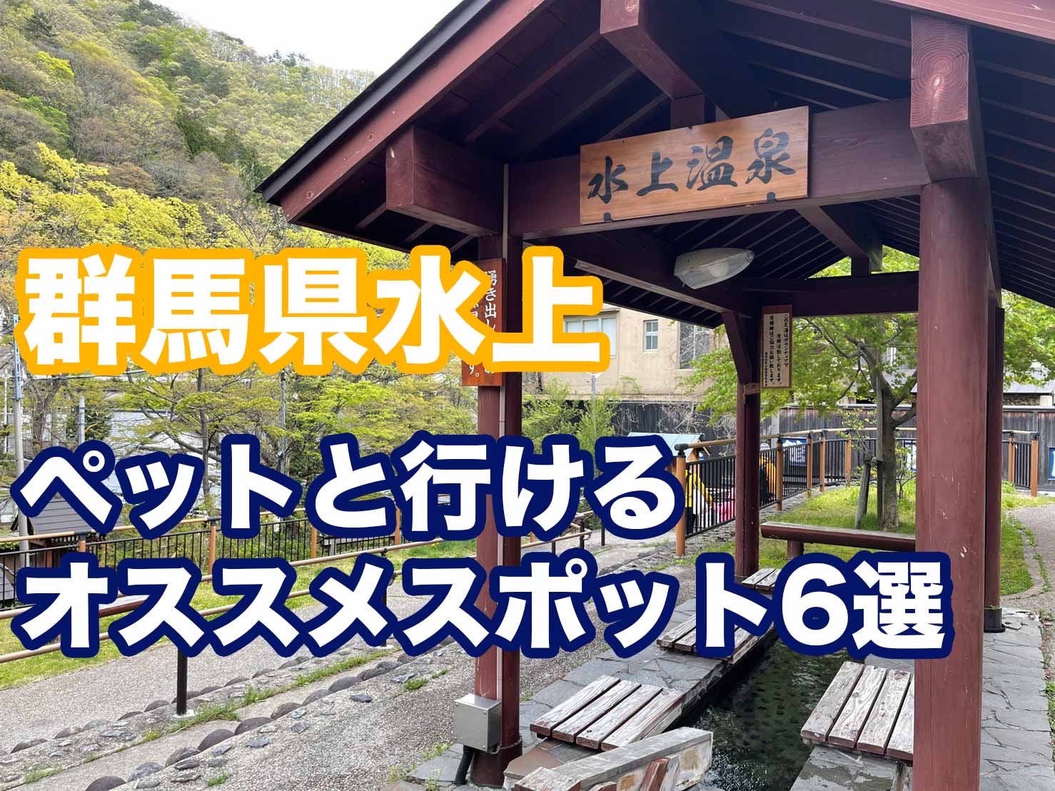 読むと行きたくなる🐶【群馬県みなかみのペットと行けるおすすめスポット6選＋おまけ1選✨】｜Leoの大冒険〜ワンちゃんと行ける場所紹介〜