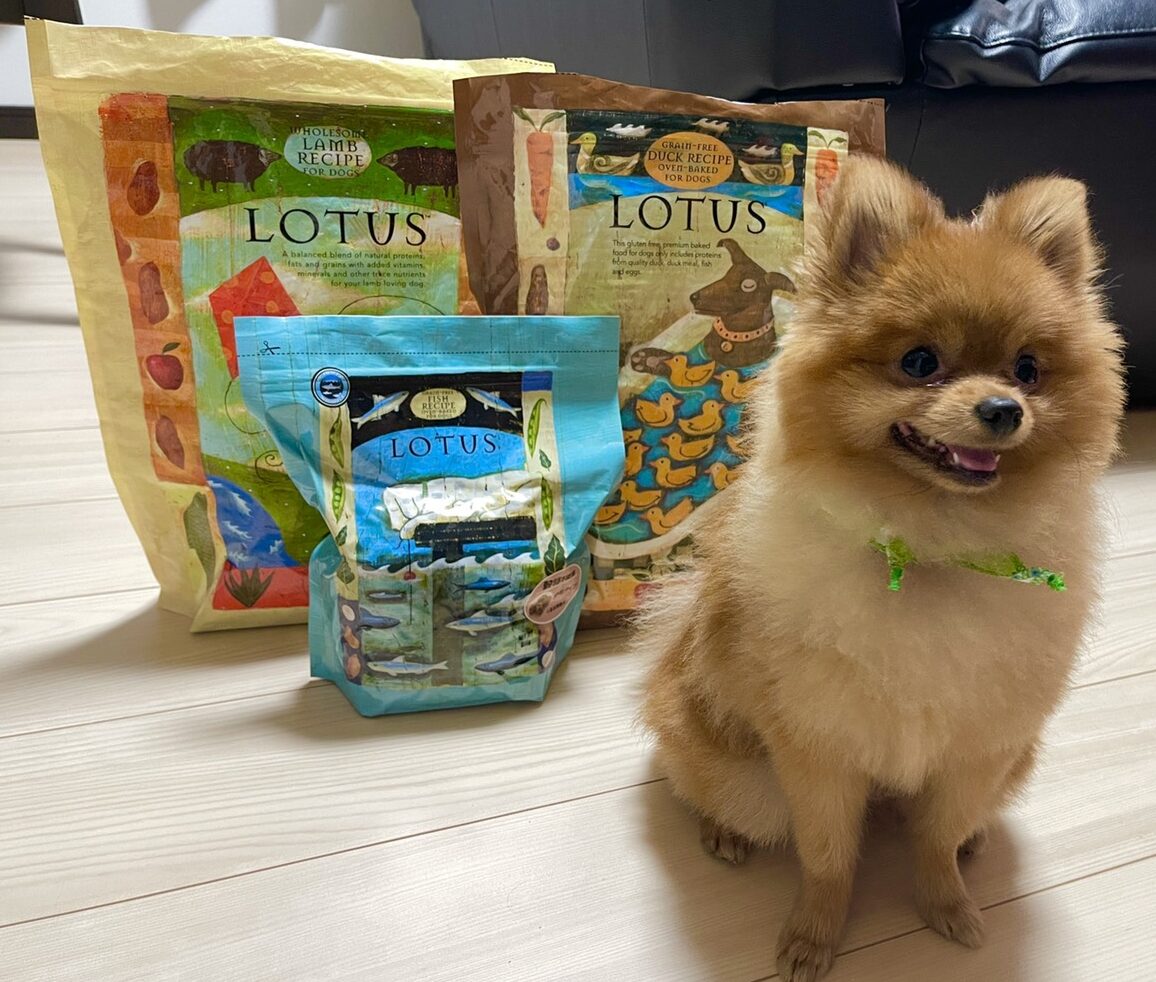 犬の涙やけ改善 アレルギー源なし おすすめドッグフード情報 Lotus ロータス Leoの大冒険 ワンちゃんと行ける場所紹介